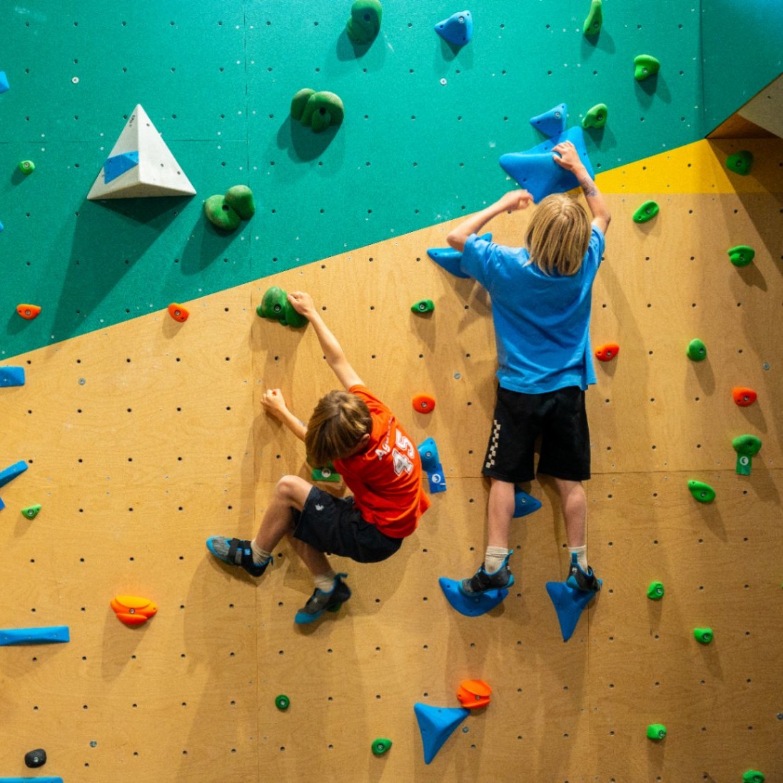 ESCALADE : MUR & SALLE DE BLOC & CLIP'N CLIMB